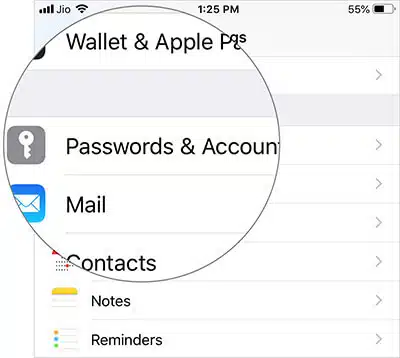 Tap on Passwords Accounts in iPhone Settings