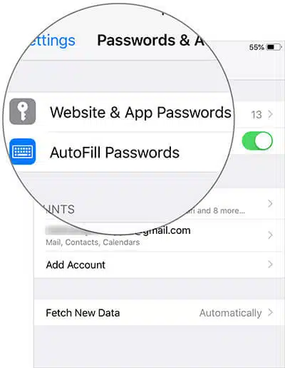 Tap on Website App Passwords in iPhone Settings