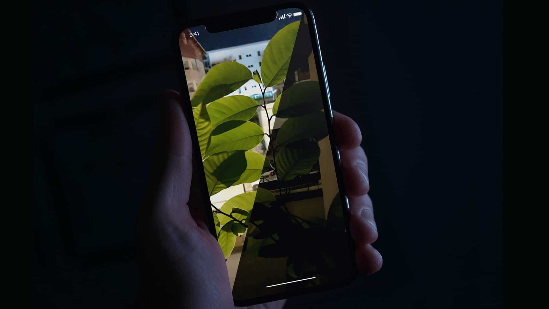 How to take better photos at night on iphone with neuralcam app