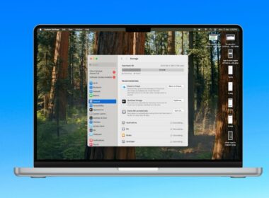 Optimize Storage on Mac.