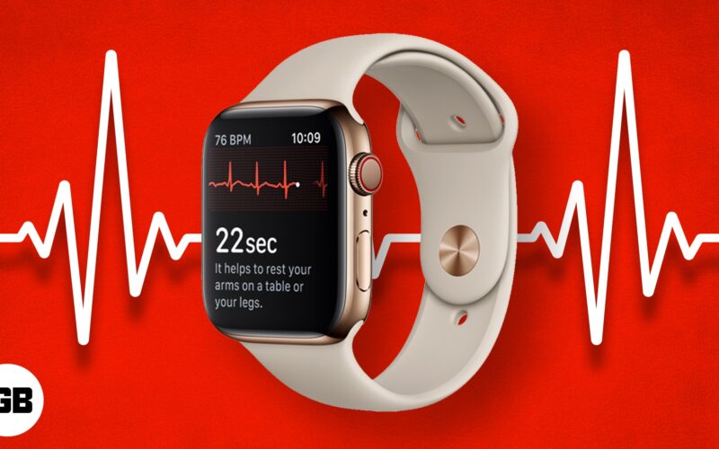 Best heart rate monitor app for apple watch sale