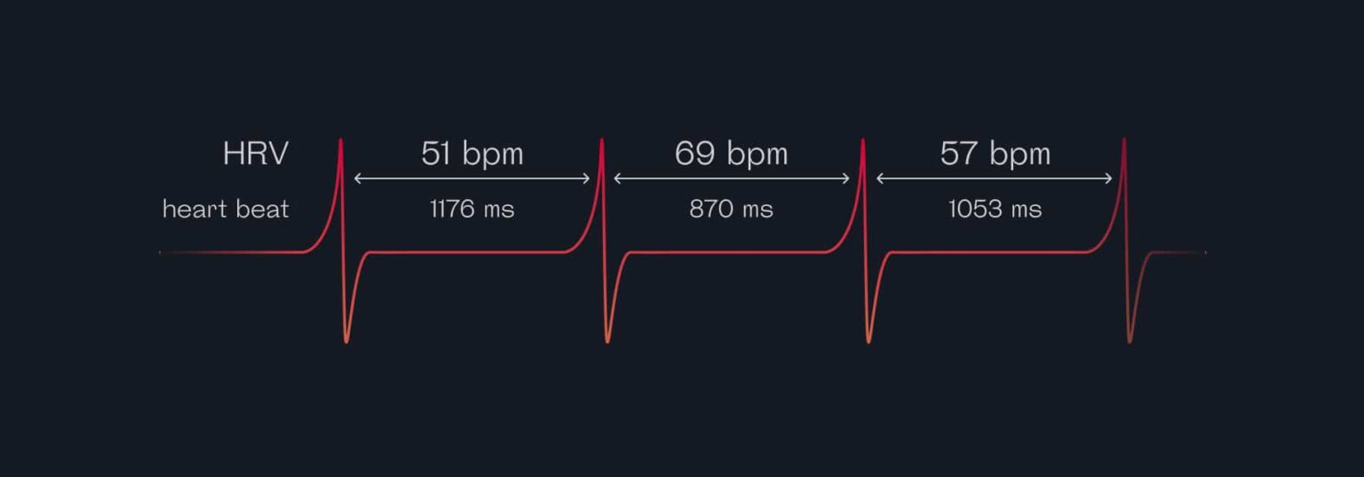 Welltory iPhone app review Monitor your heart rate, BP, and more