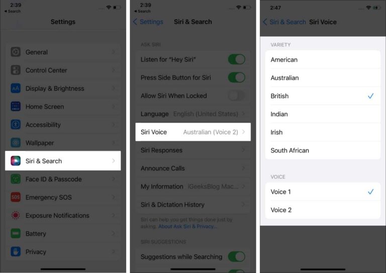 How to change Siri's voice and language on iPhone and iPad - iGeeksBlog