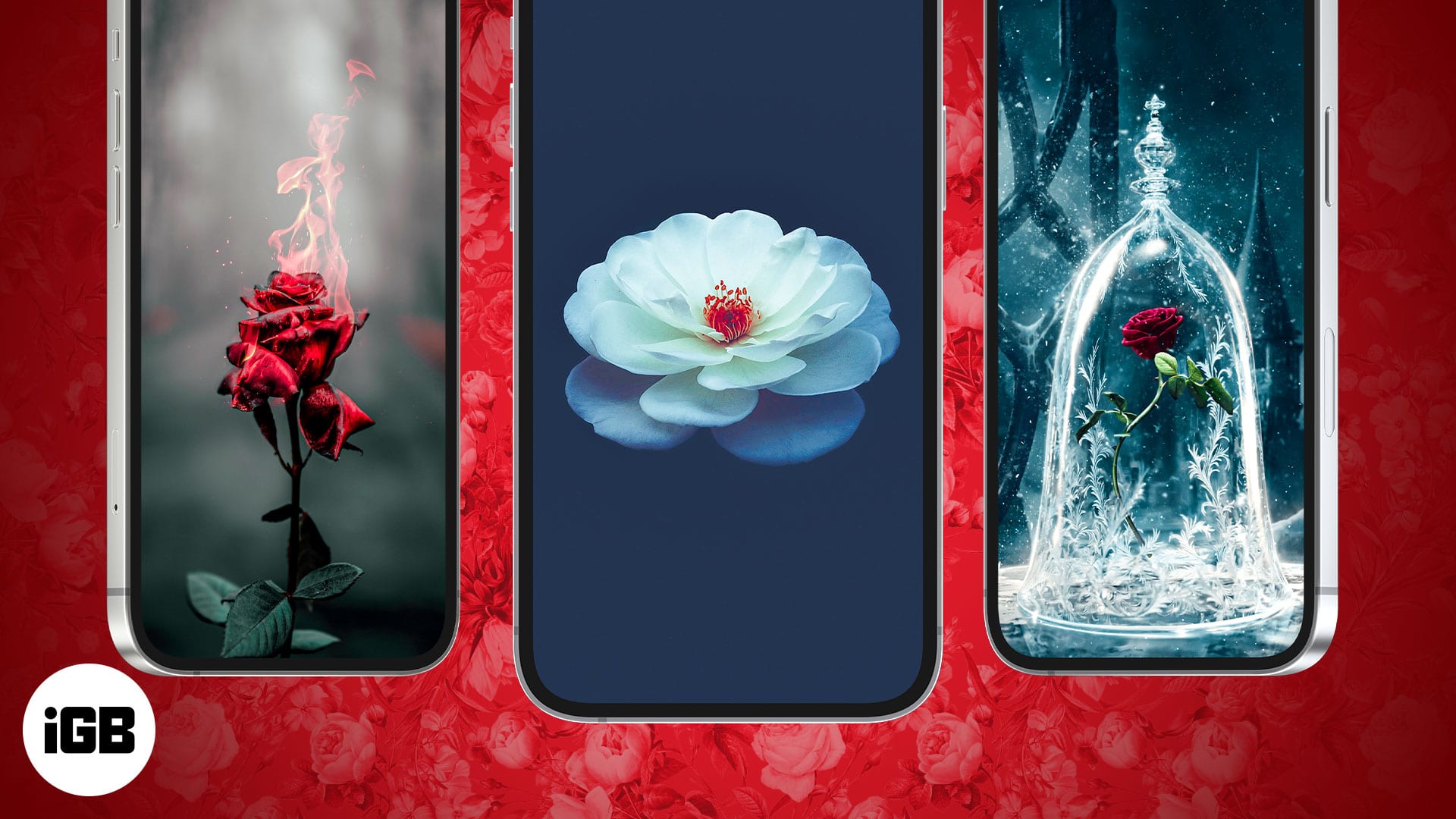 IPhone vertical red roses vintage print on fed sparkle background pretty  This one turned o iphone roses Flower phone  Red roses HD phone wallpaper   Pxfuel