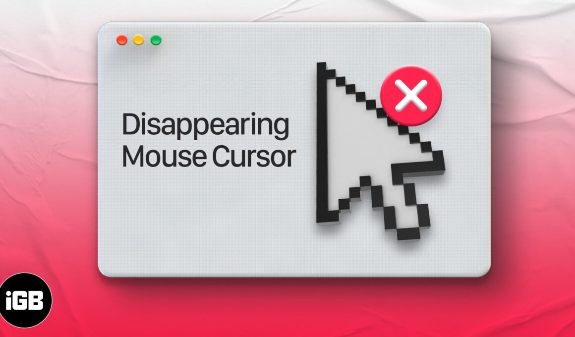 Mouse cursor disappears on mac