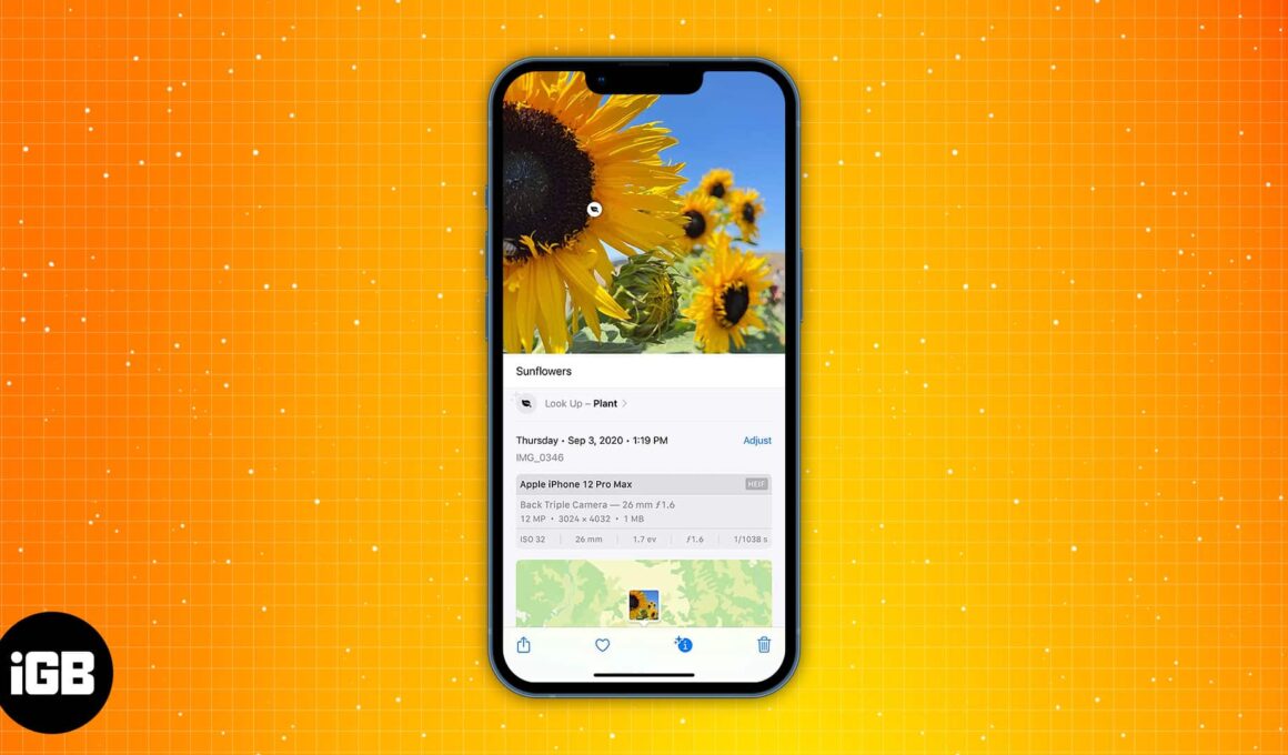 How to add caption to photos and videos on iphone