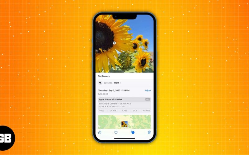 How to add caption to photos and videos on iphone