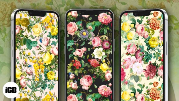 Free flower wallpapers for iphone