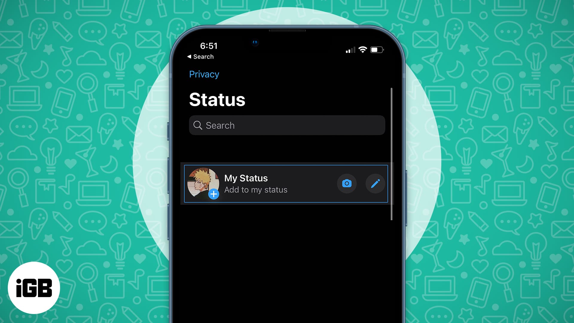 How To Use WhatsApp Status On IPhone Complete Guide IGeeksBlog