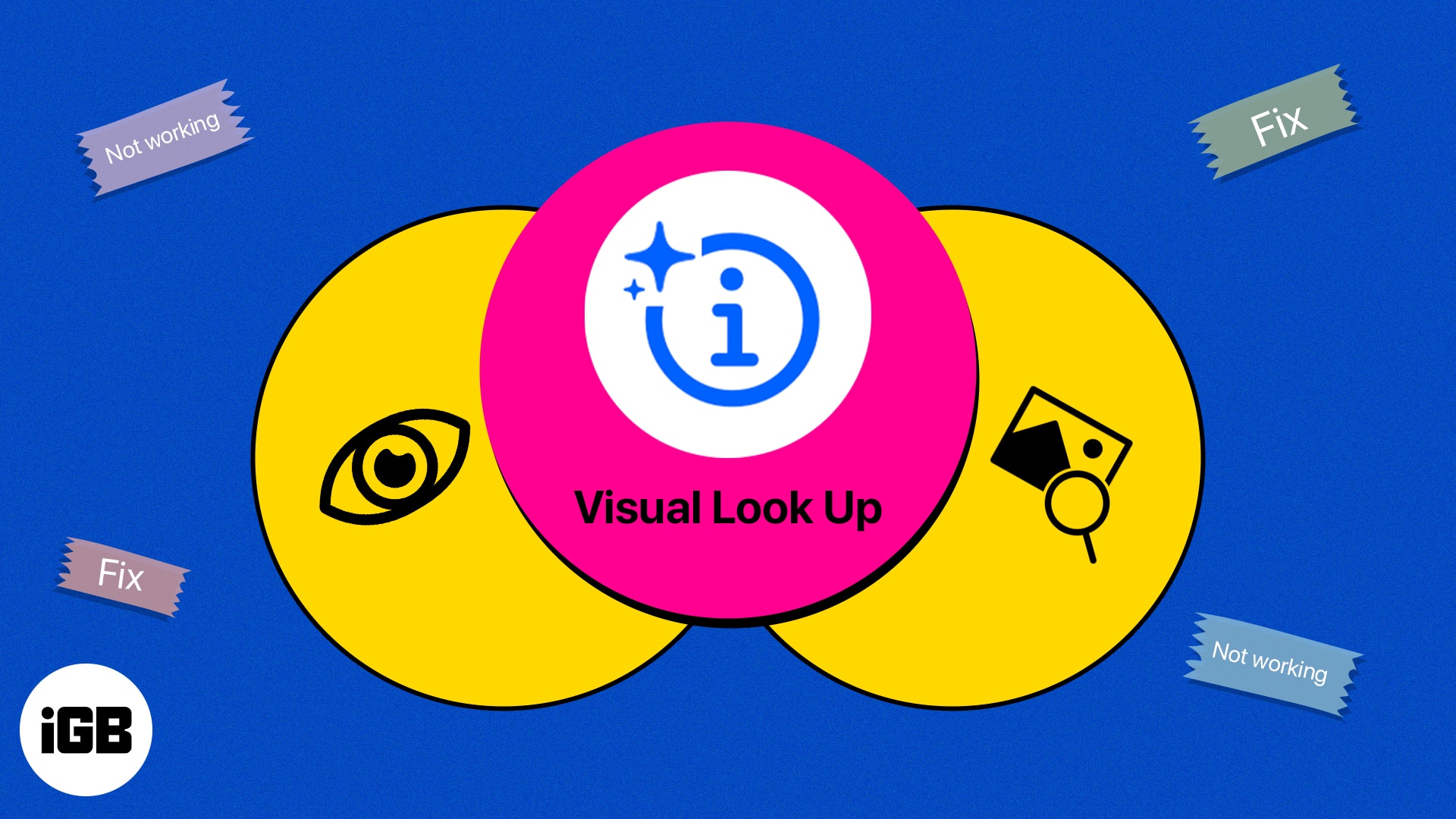 Visual Look Up Not Working On IPhone 9 Ways To Fix It IGeeksBlog