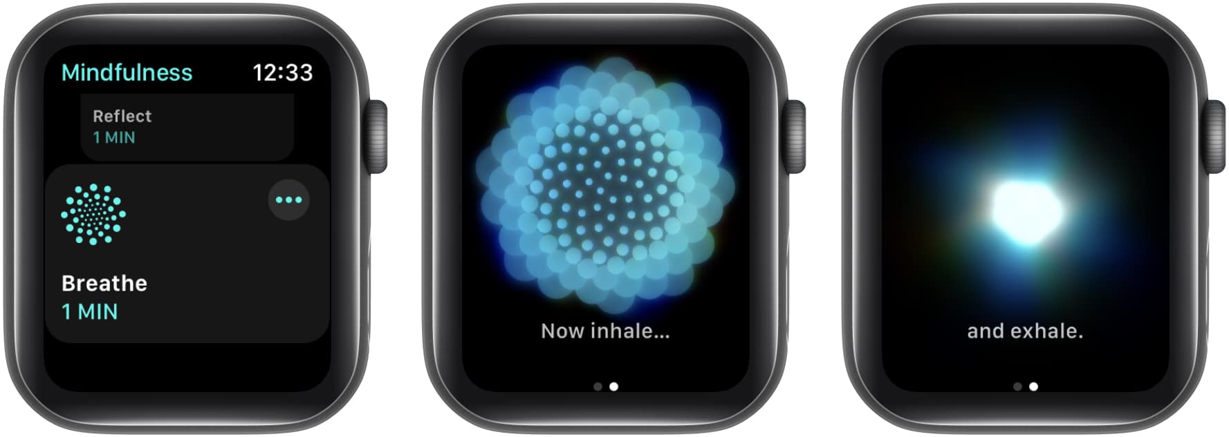 Breathe and Follow instruction on Apple Watch
