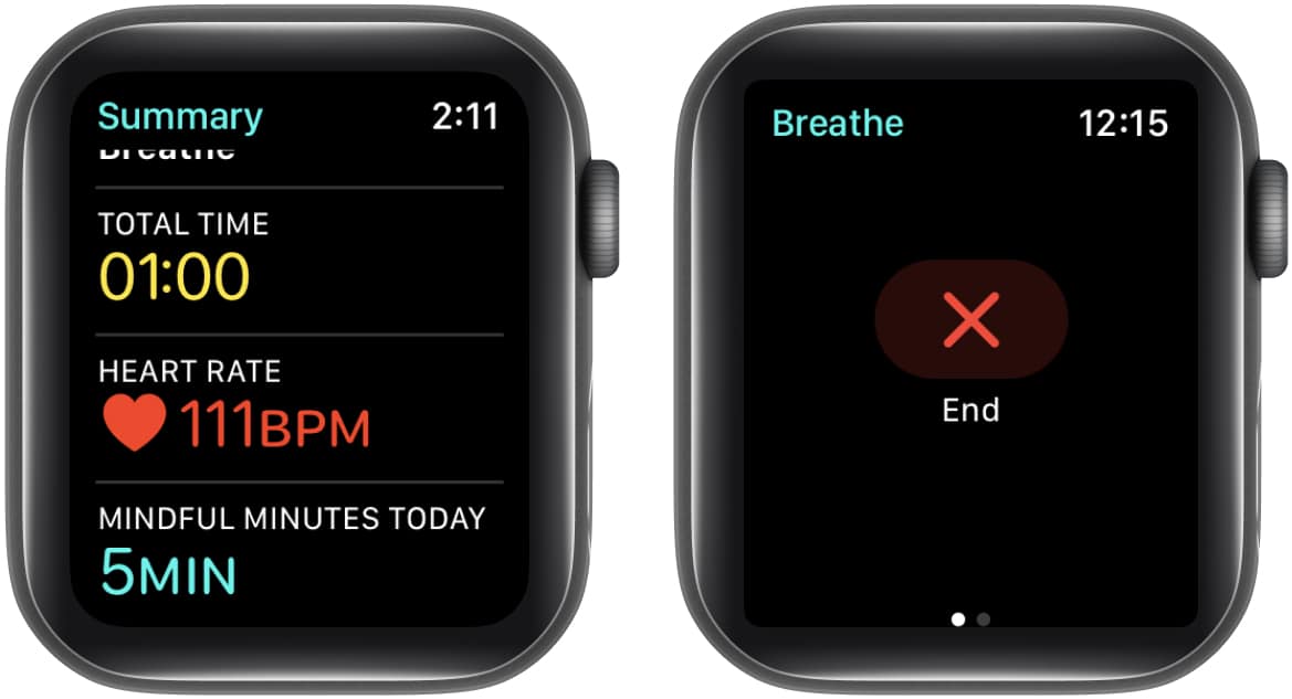 https://www.igeeksblog.com/wp-content/uploads/2023/03/Check-Heart-Rate-Variability-on-Apple-Watch.jpg