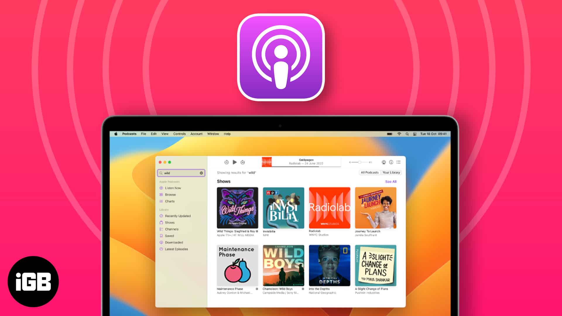 How to use Apple Podcasts app on Mac