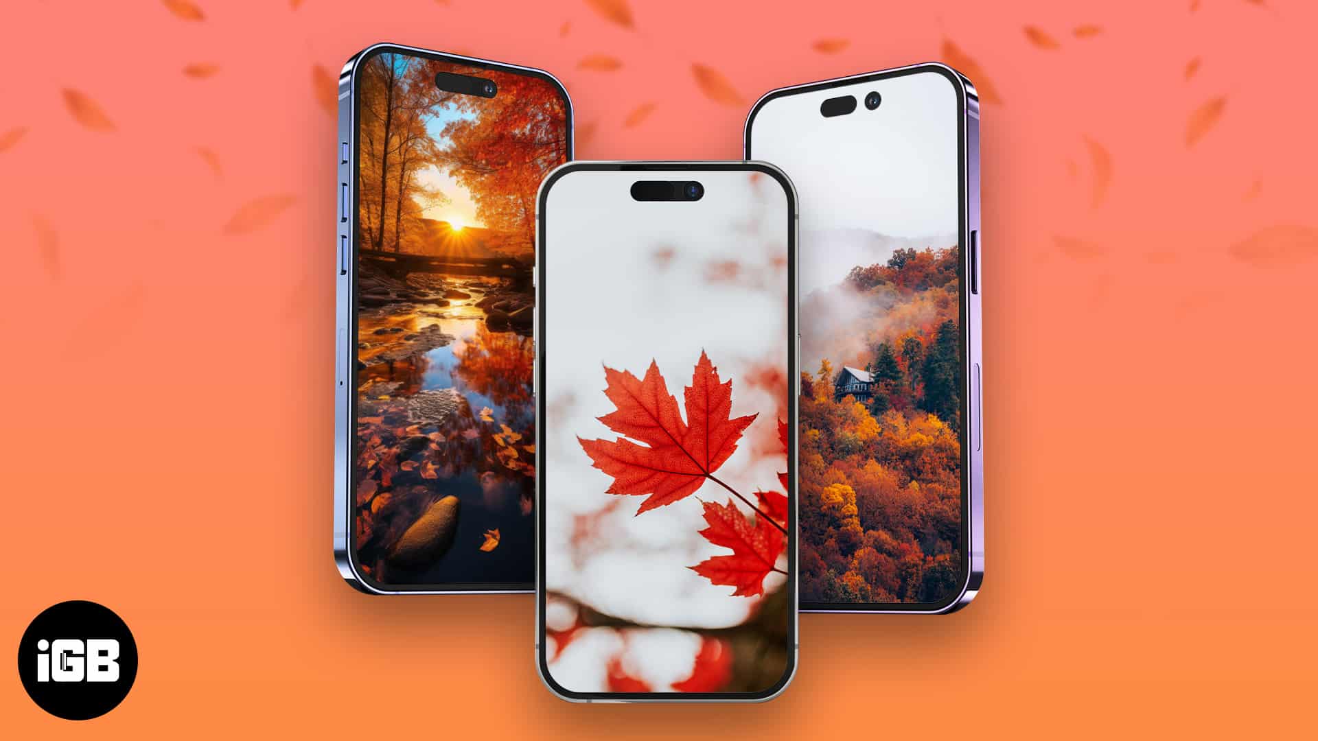 Best fall wallpapers for iPhone