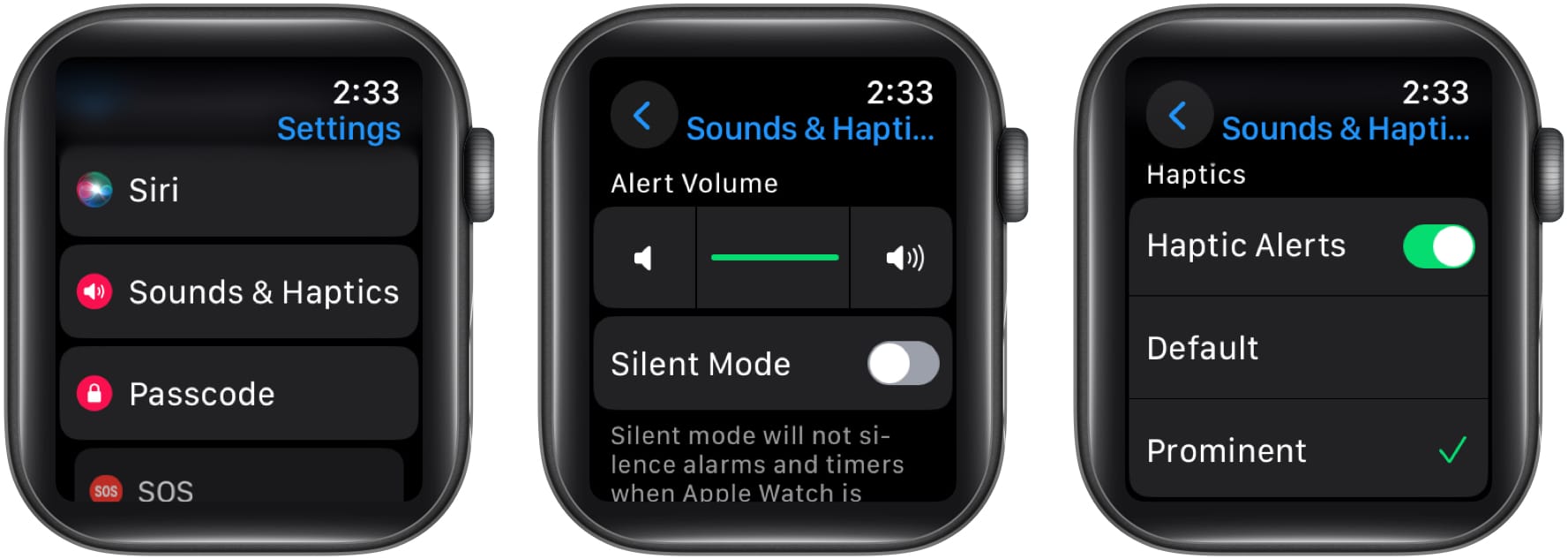 Turn off Silent Mode to turn on Haptic Alerts on Apple Watch