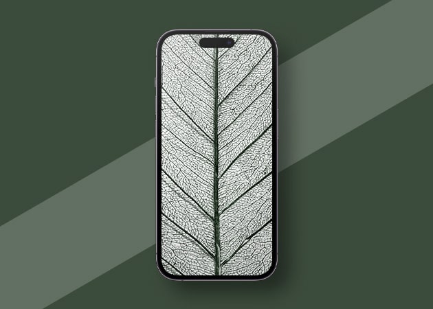 minimal iphone wallpaper - code