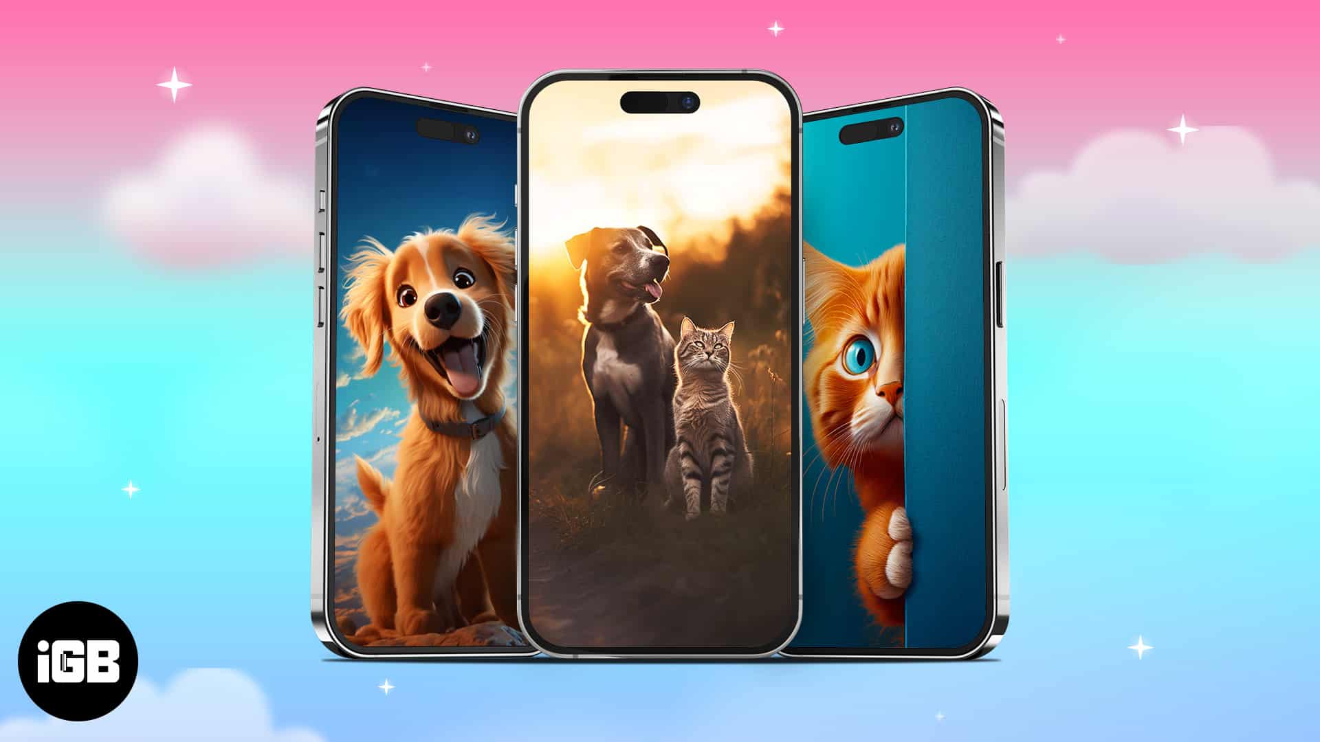 Cute cat and dog wallpapers for iPhone in 2024