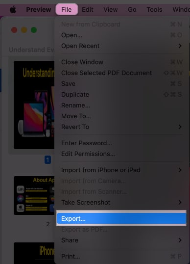 Export from File menu