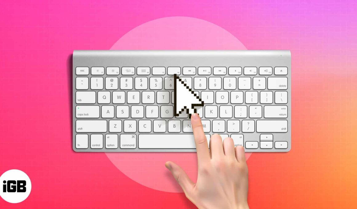 How to move mouse pointer using the keyboard on mac