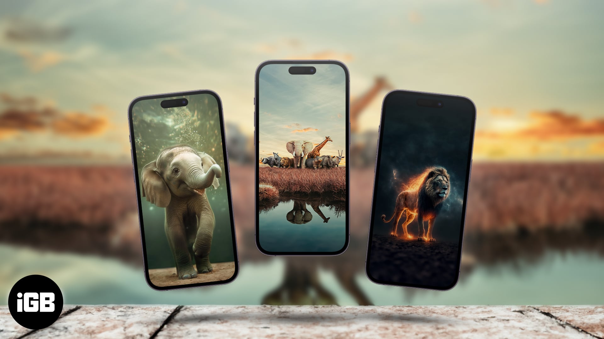 Best animal wallpapers for iPhone