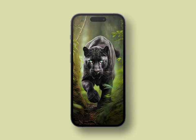Black Panther raging HD iPhone wallpaper