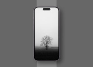 15 Beautiful Black  S For IPhone In 2024 Free HD Download   Black And White Tree   315x225 