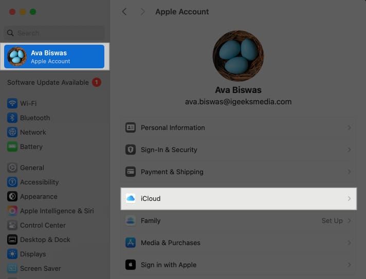 Click Apple ID and select iCloud