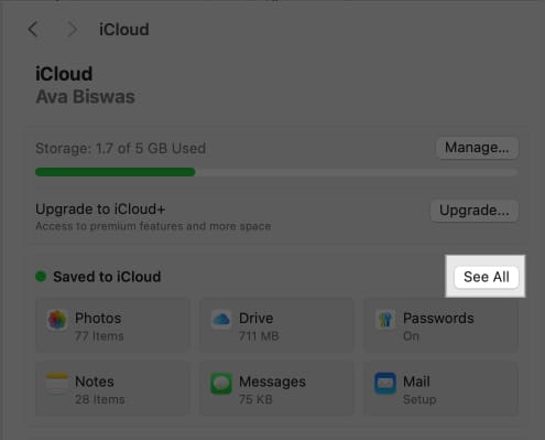 Click See All to manage apps and features synced to iCloud