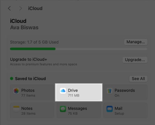 Click iCloud Drive in iCloud on Mac