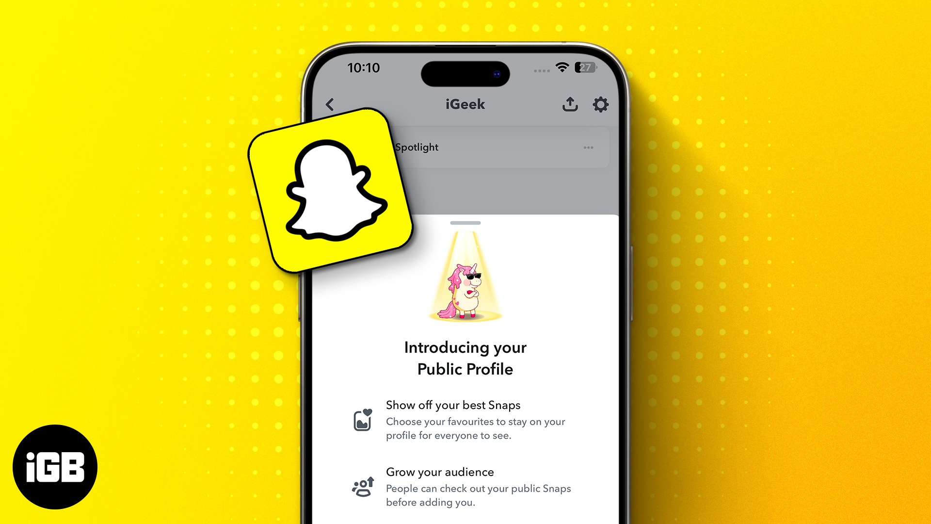 How to make a Public Profile on Snapchat