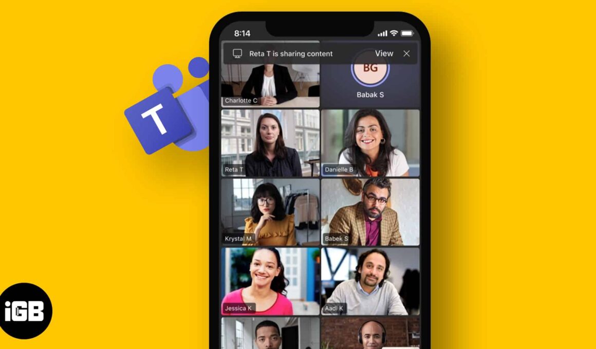 Video conferencing apps for iphone