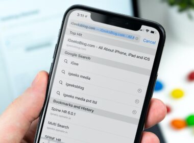 How to stop safari from preloading top hit on iphone or ipad