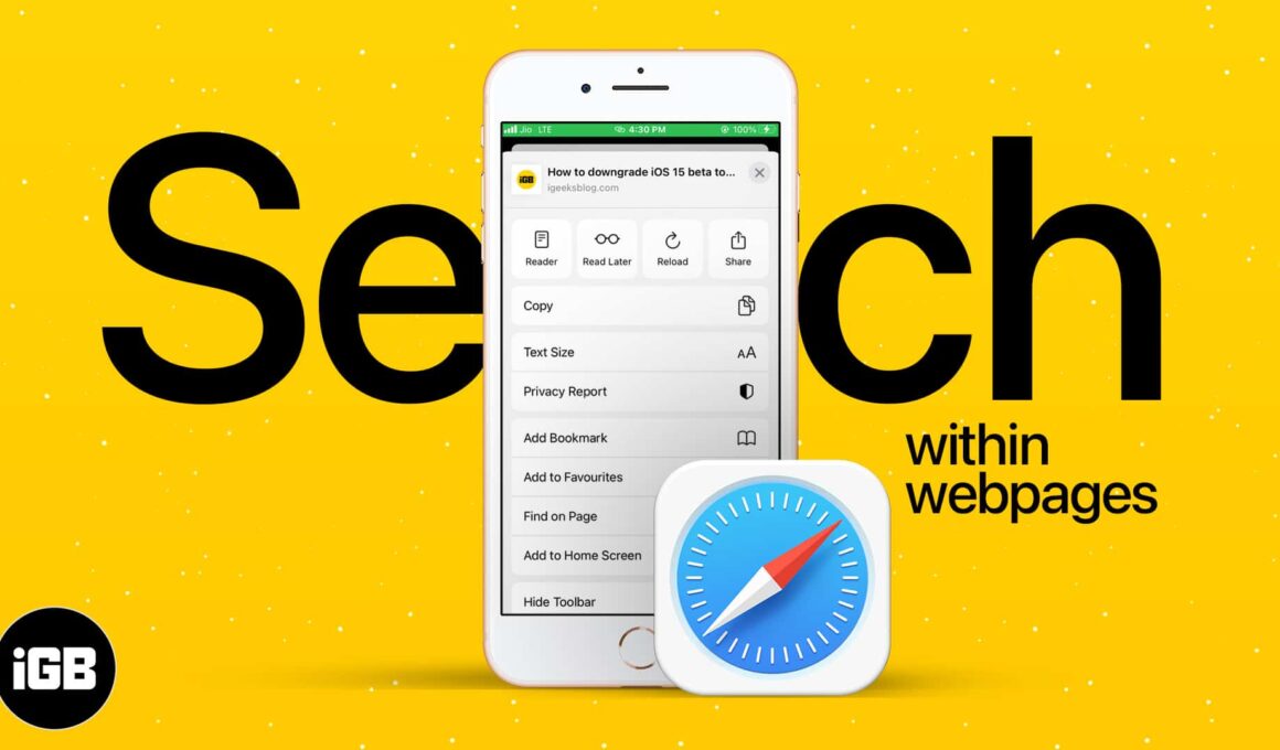 How to search text on iphone safari