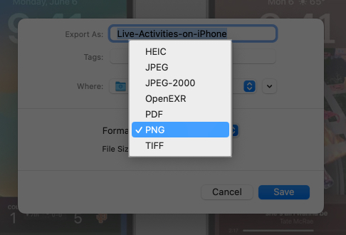 Select screenshot format from dropdown menu on Mac