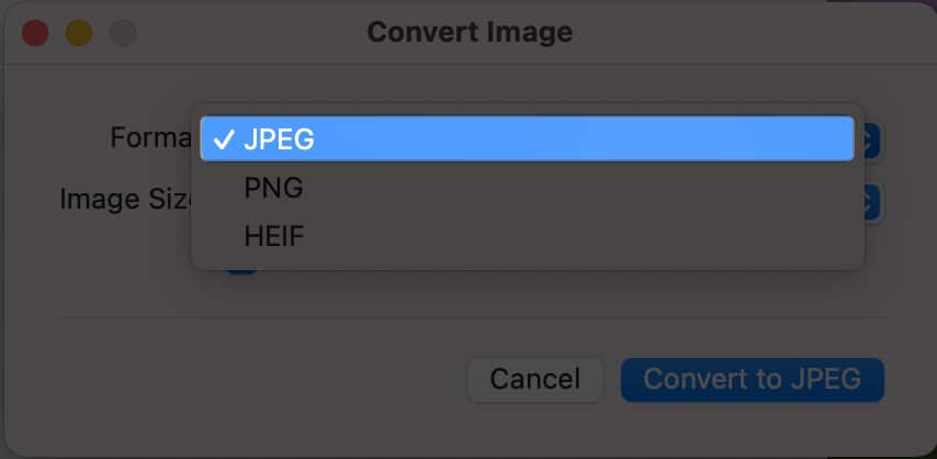 Choose JPEG to Convert photo into JPEG