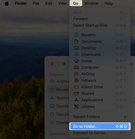 Go to Folder from Go menu in Finder