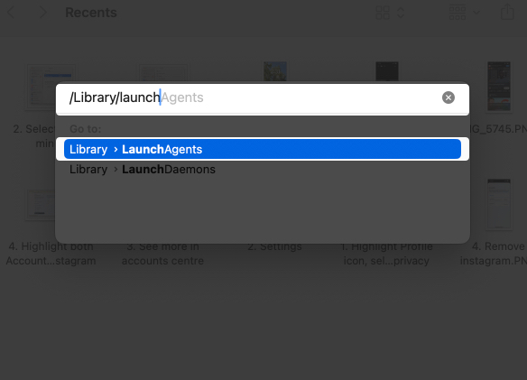 Search for Library LaunchAgents