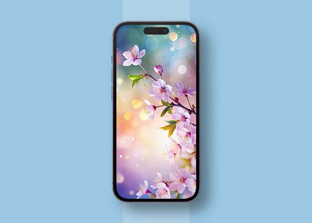 Blooming cherry blossoms wallpaper
