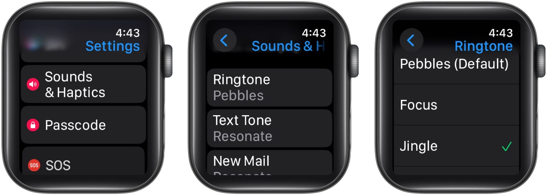 Change Apple Watch ringtone in watchOS 11
