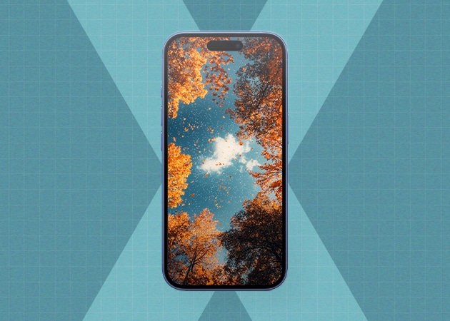 Aesthetic fall wallpaper for iPhone