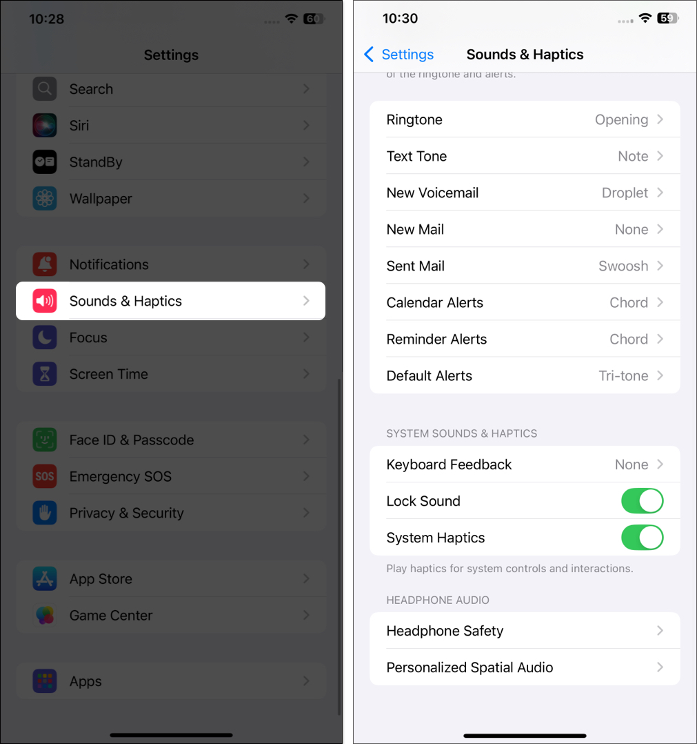 Sounds & Haptics settings in the iPhone Settings app.