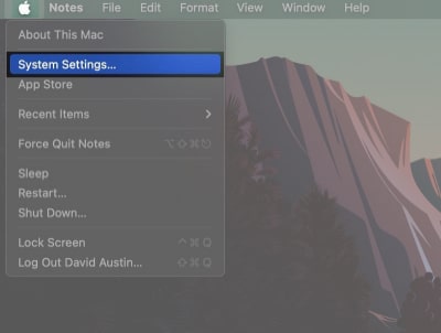 System Settings in the Apple menu on a Mac