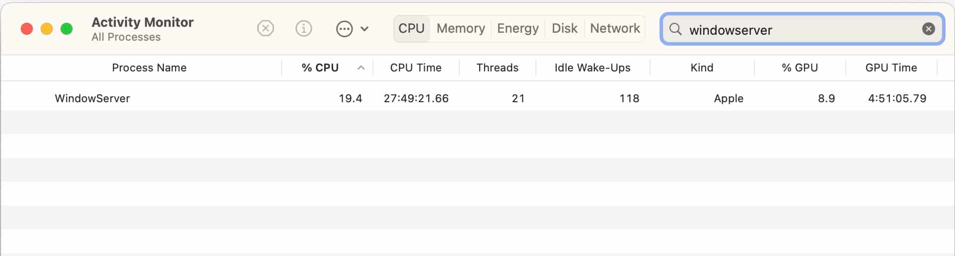 Search result for the WindowServer process in the Mac Activity Monitor app