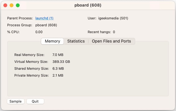 pboard process details in the Activity Monitor app