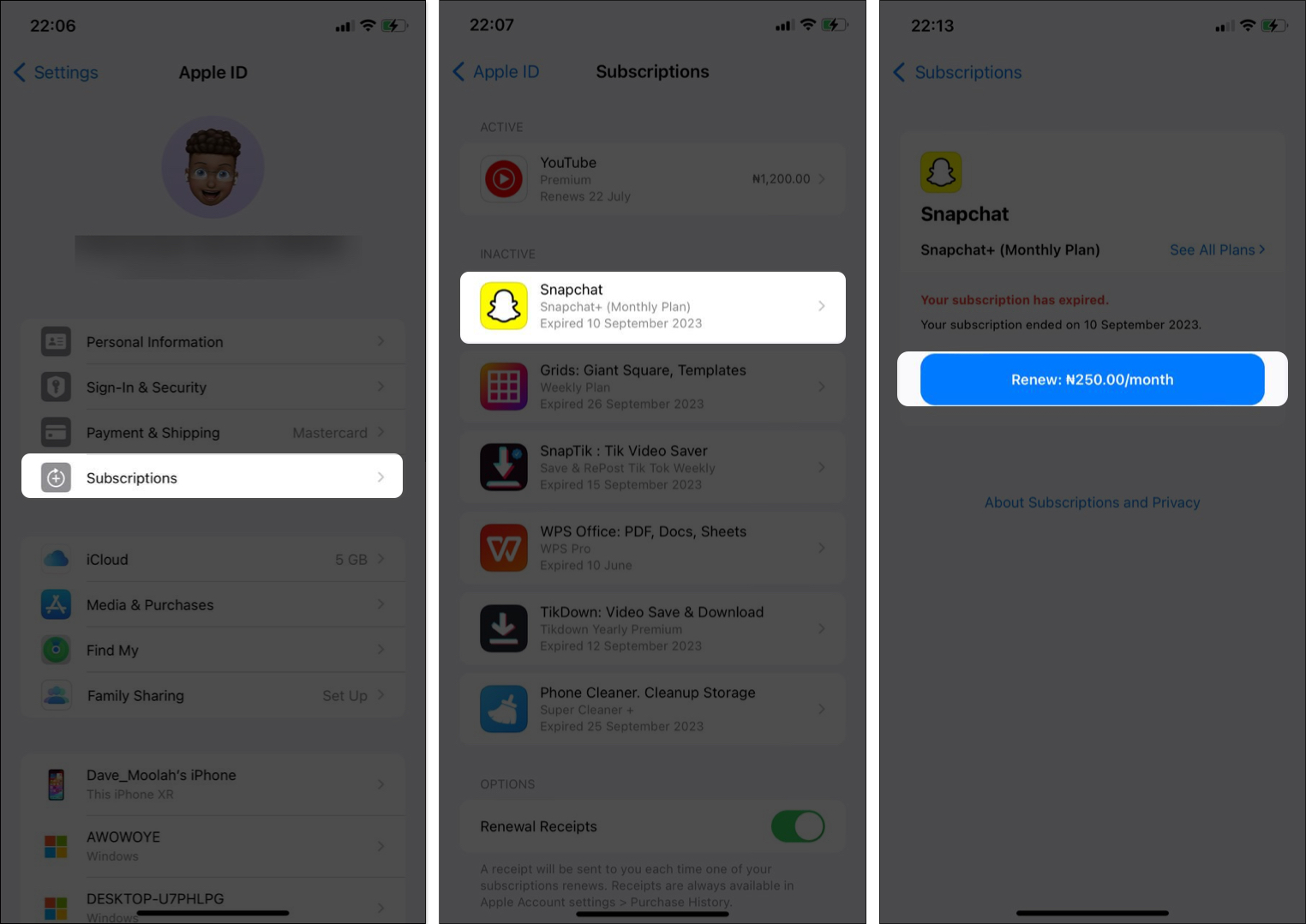 Renew option for Snapchat subscription on iPhone Settings app.