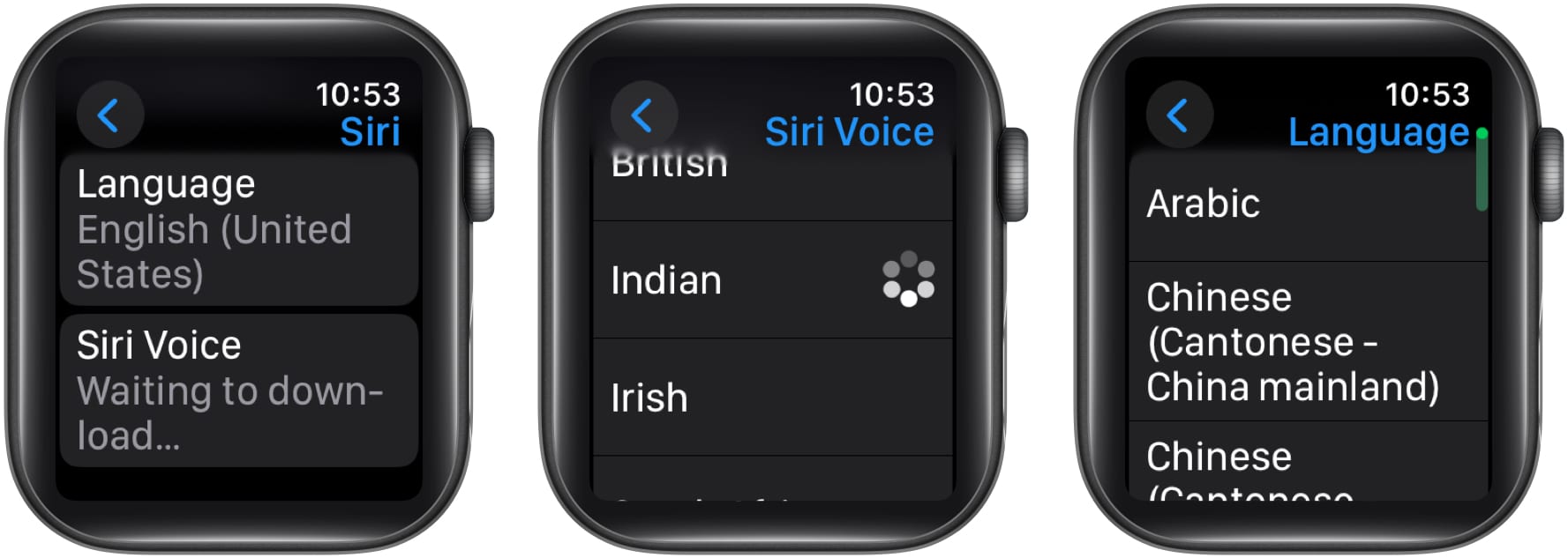 Changing Siri voice and language on an Apple Watch