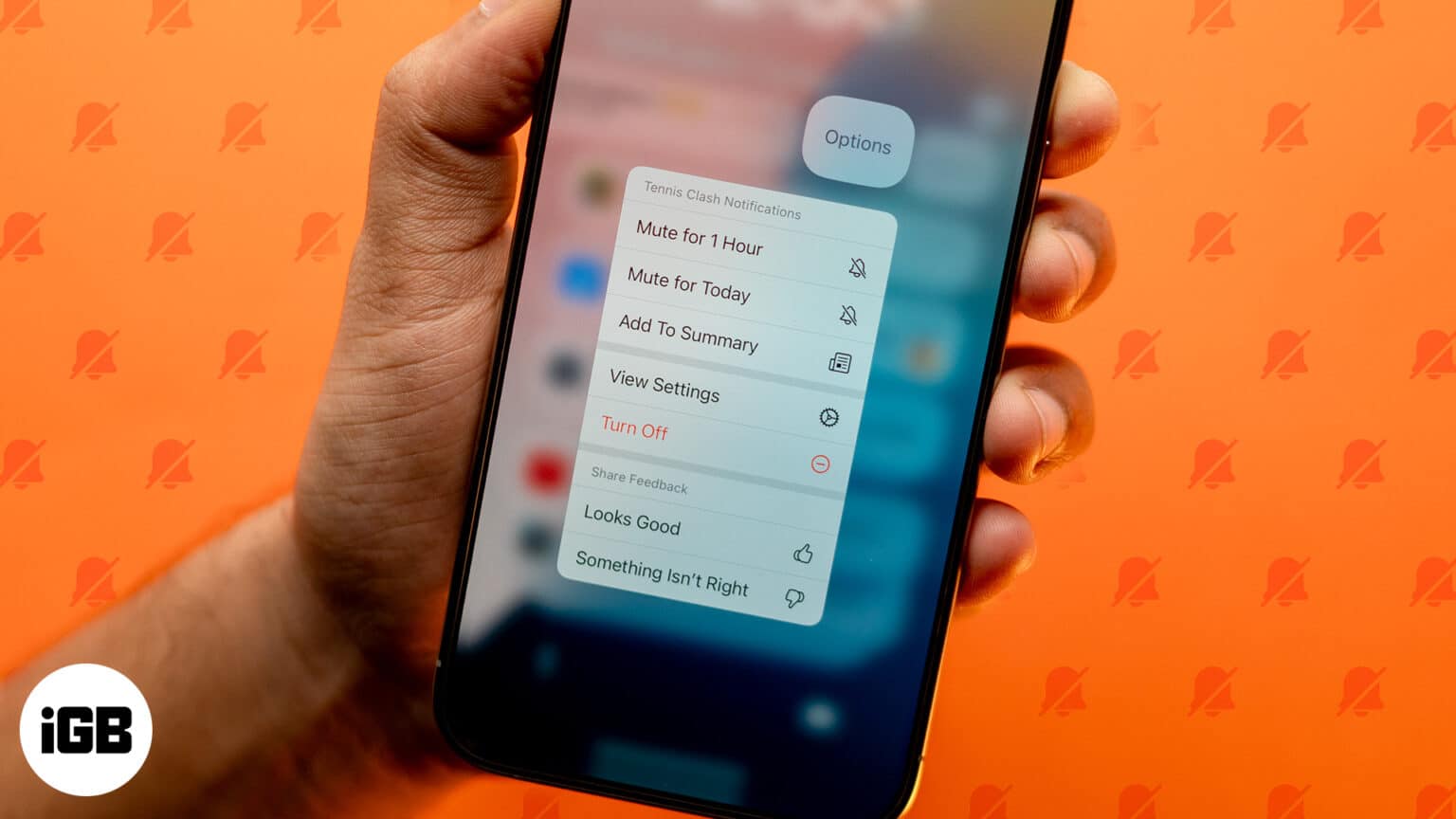 How To Record And Transcribe Phone Calls With IOS 18.1