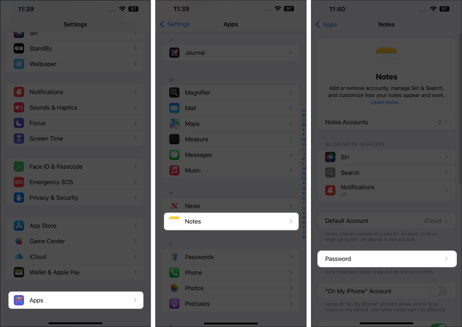 Accessing Password options for Apple Notes in iOS Settings