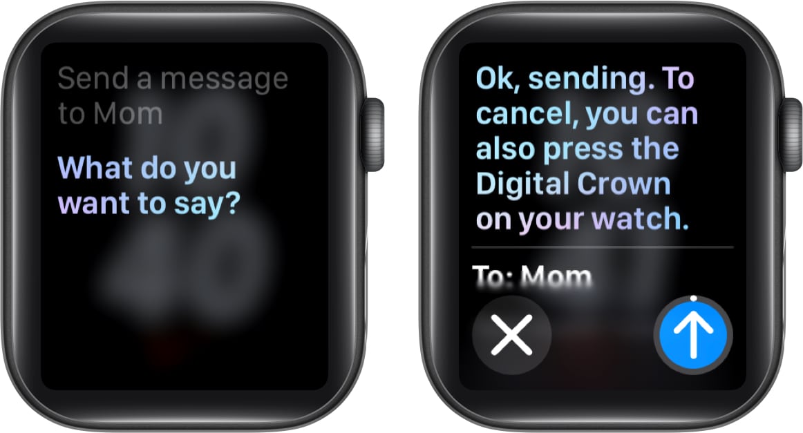 Enable siri on apple watch best sale