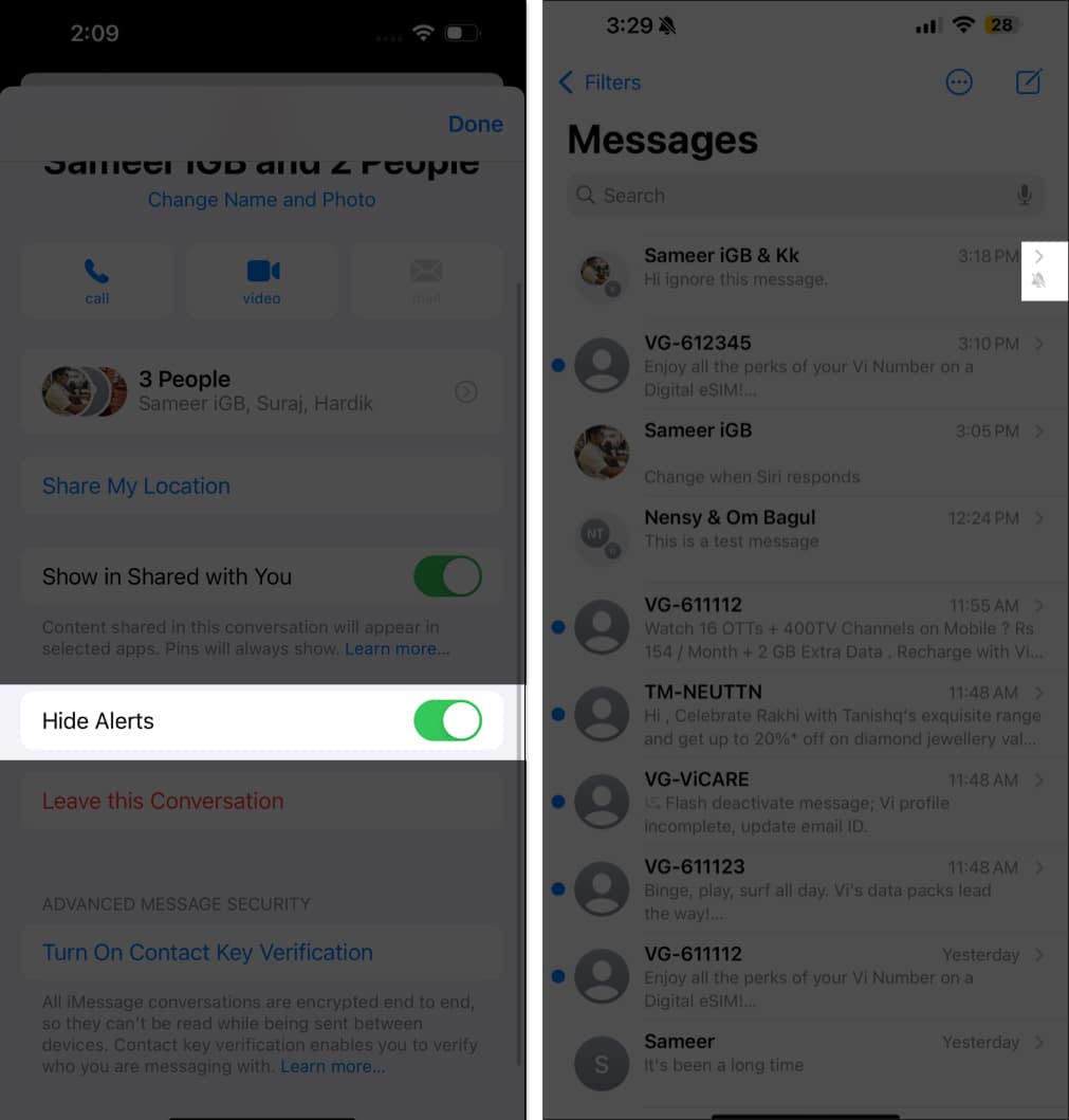 Toggling on the Hide Alerts option for an iMessage group chat on an iPhone